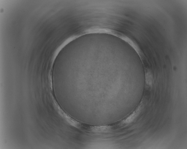 X0000071781150200606301214