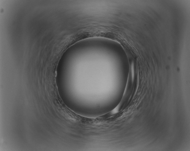 X0000071781153200606301213