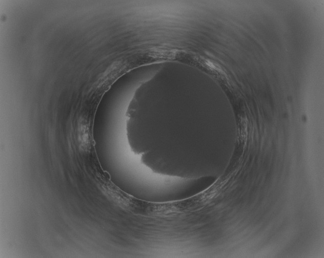 X0000071781154200606301213