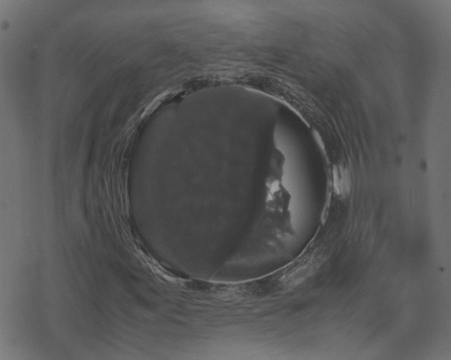 X0000071781155200606301213