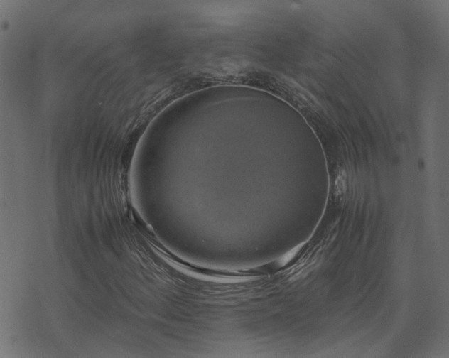 X0000071781156200606301213