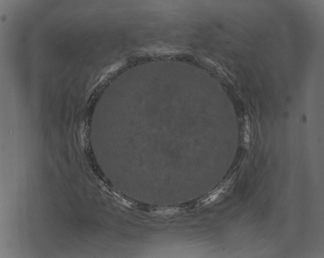 X0000071781157200606301213