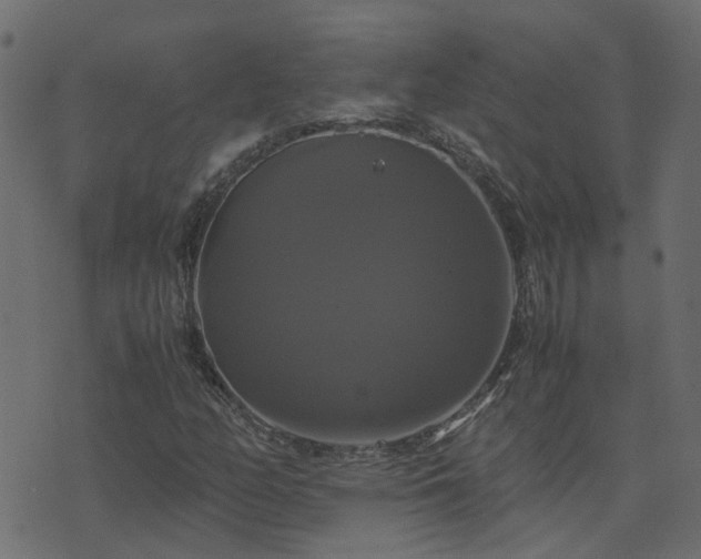 X0000071781158200606301213