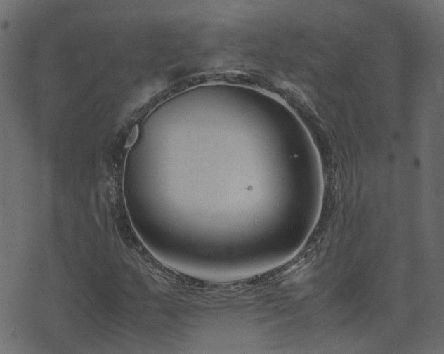 X0000071781159200606301213