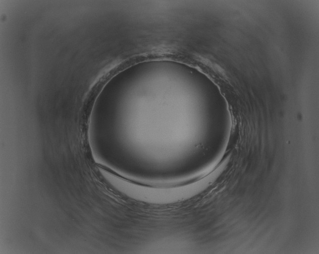 X0000071781160200606301213