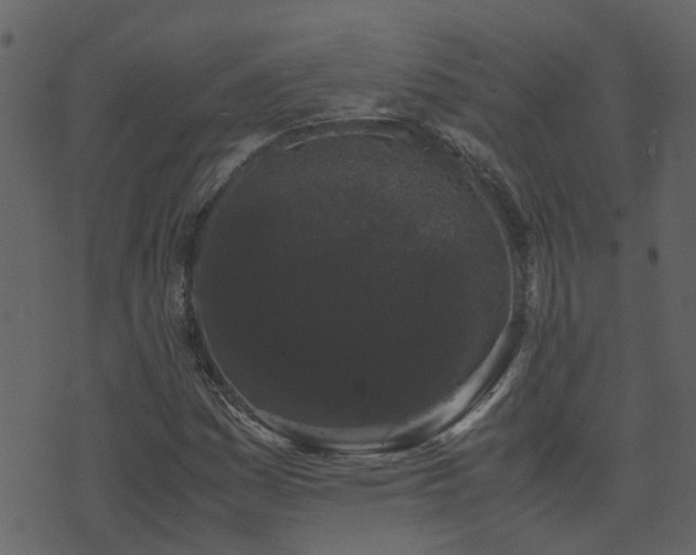 X0000071781161200606301213