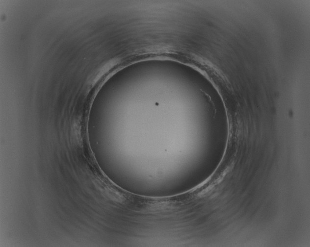 X0000071781162200606301213