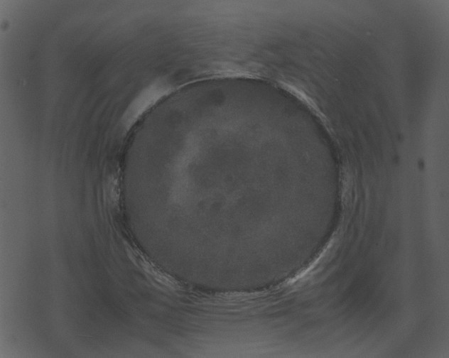 X0000071781163200606301213