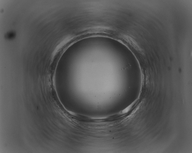 X0000071781164200606301213