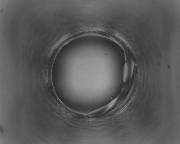 X0000071781165200606301213