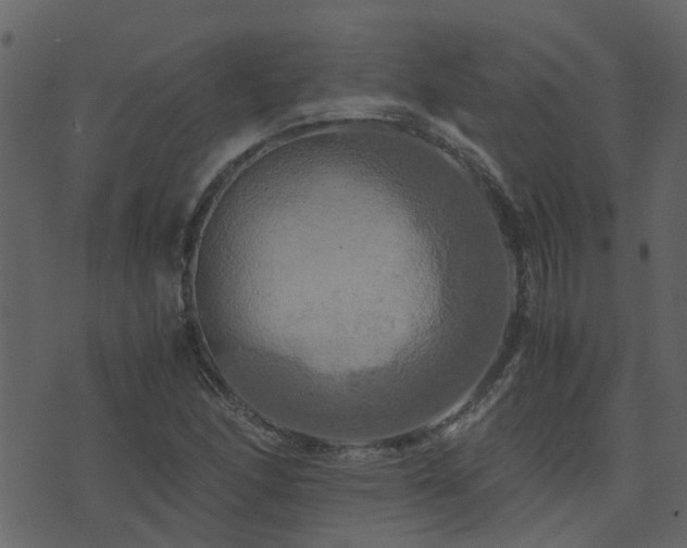 X0000071781166200606301213