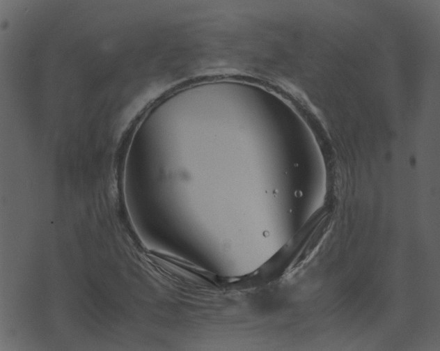 X0000071781167200606301213