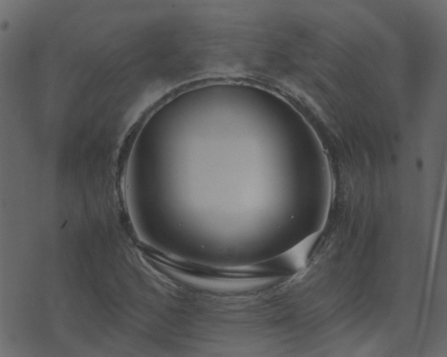 X0000071781168200606301213