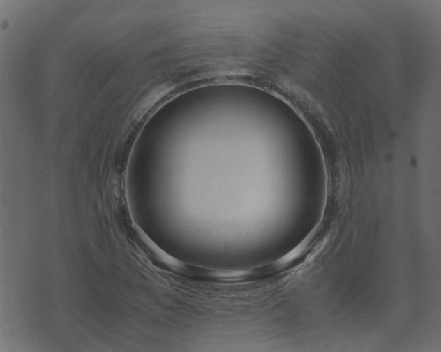 X0000071781169200606301213