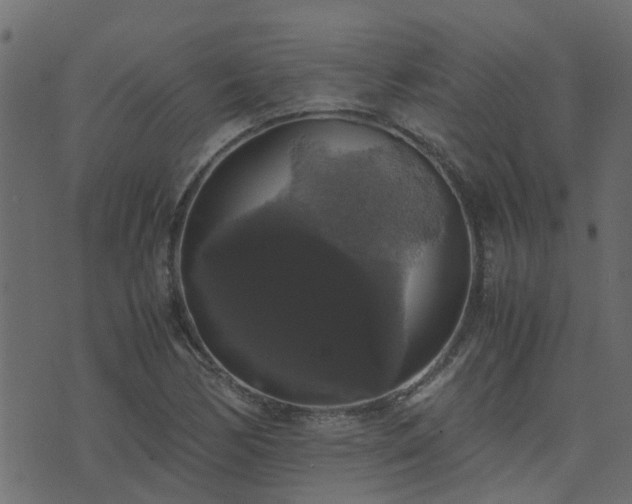 X0000071781170200606301213