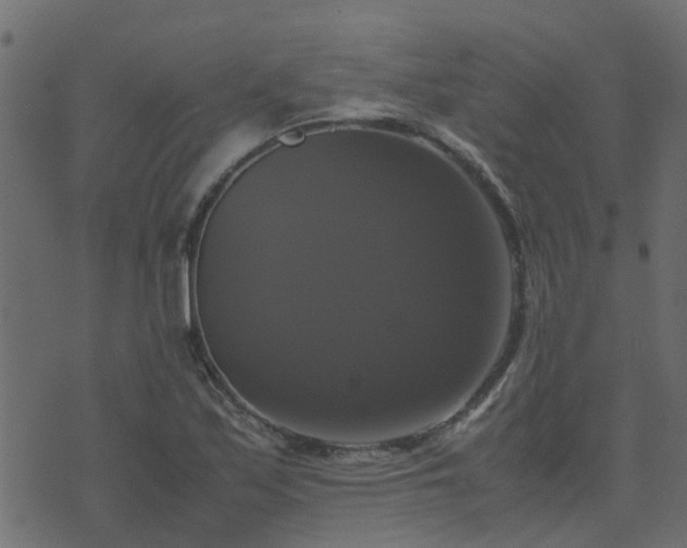 X0000071781171200606301213