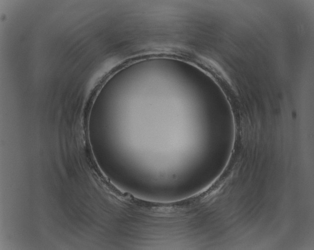 X0000071781172200606301213