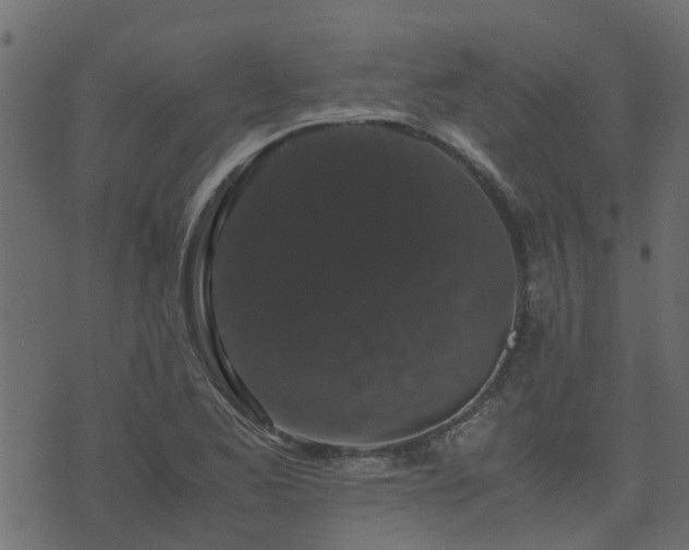 X0000071781173200606301213