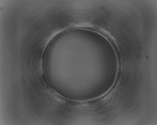 X0000071781174200606301213