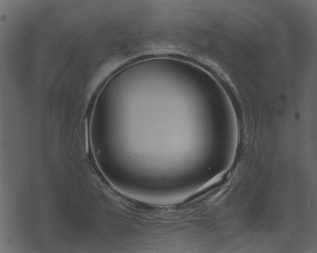 X0000071781175200606301213