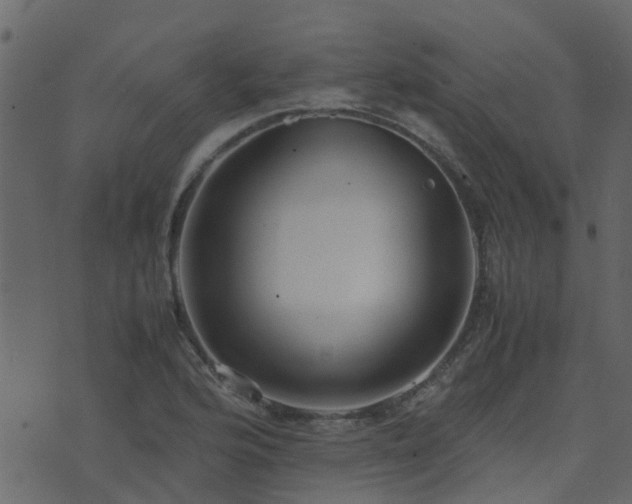 X0000071781176200606301213