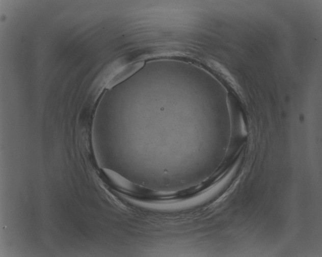 X0000071781177200606301213