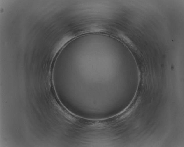 X0000071781178200606301213