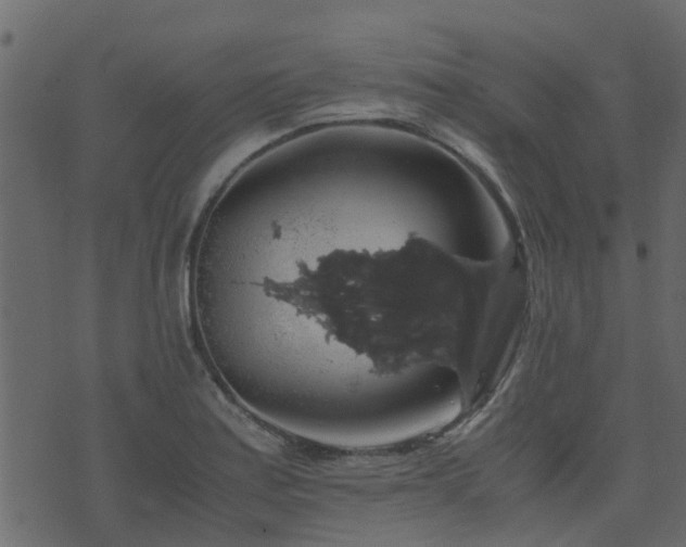 X0000071781179200606301213