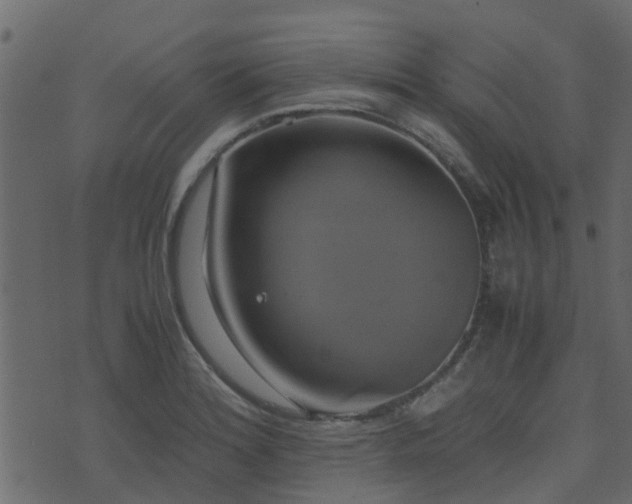 X0000071781180200606301213