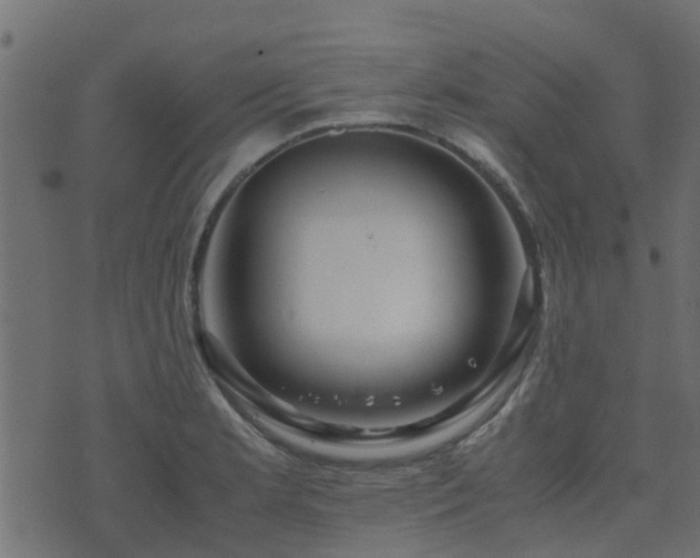 X0000071781181200606301212