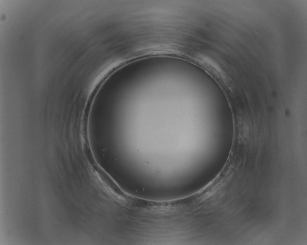 X0000071781182200606301212