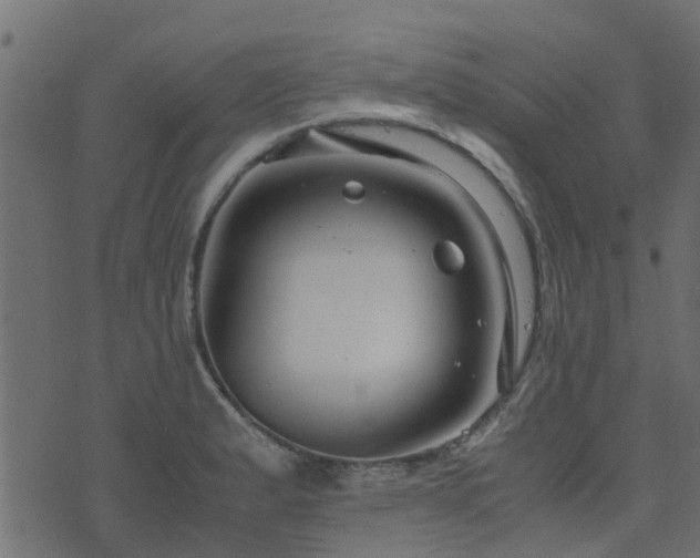 X0000071781183200606301212