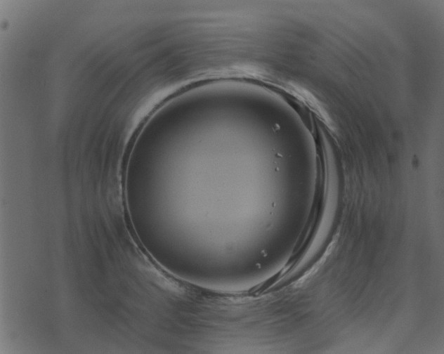 X0000071781184200606301212