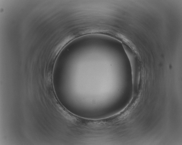 X0000071781185200606301212