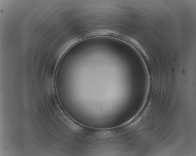 X0000071781186200606301212