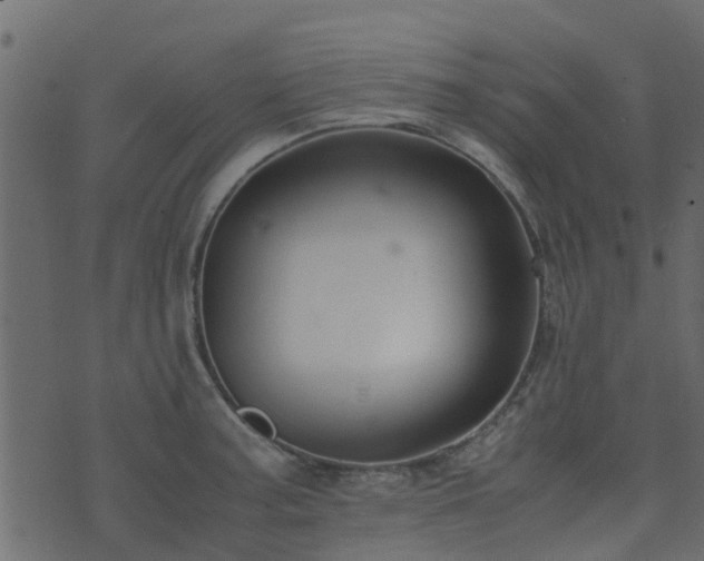 X0000071781187200606301212