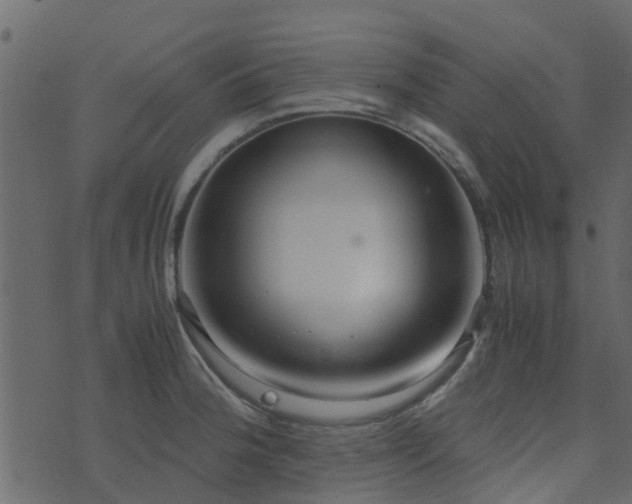 X0000071781188200606301212