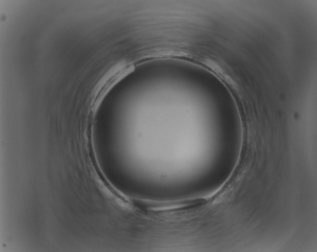 X0000071781189200606301212