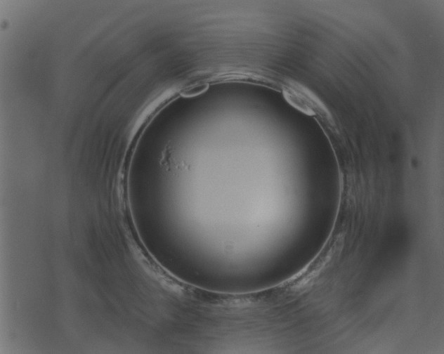 X0000071781190200606301212