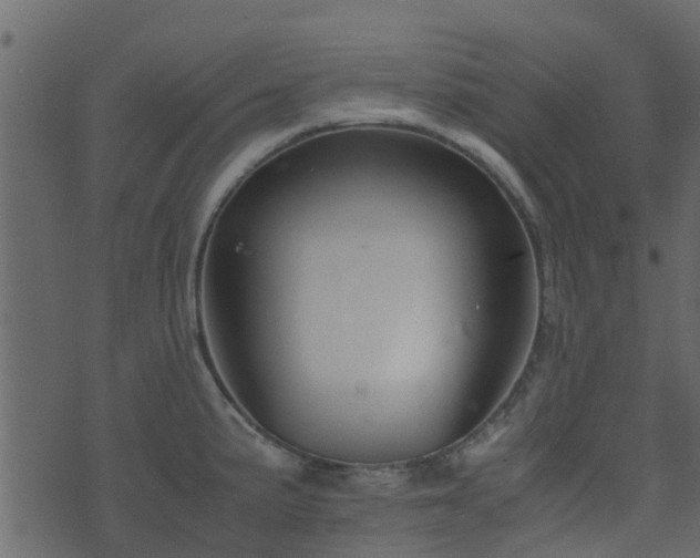 X0000071781191200606301212