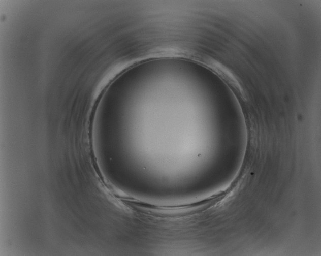 X0000071781192200606301212