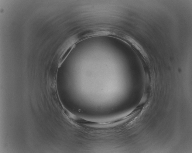 X0000071781193200606301212