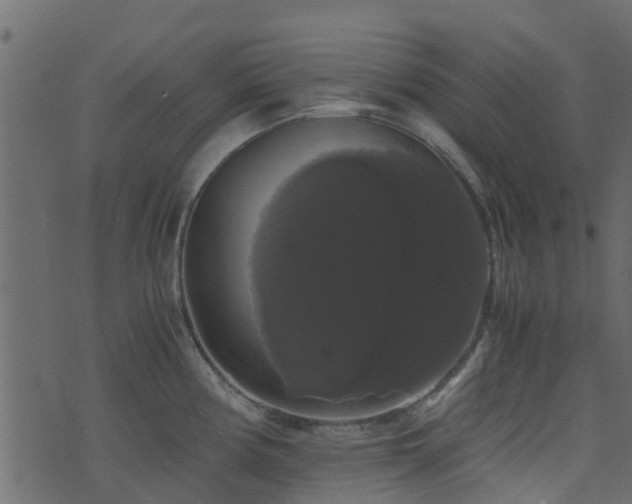 X0000071781194200606301212