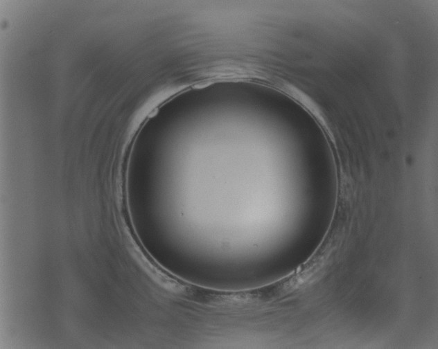 X0000071781195200606301212