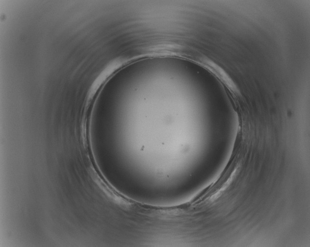 X0000071781196200606301212