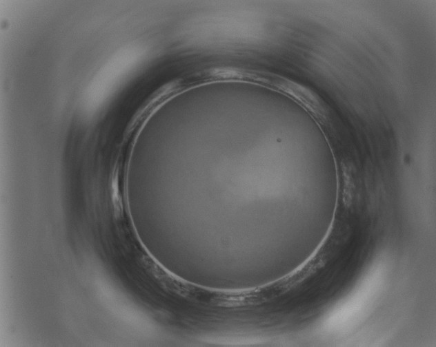 X0000071781198200606301212