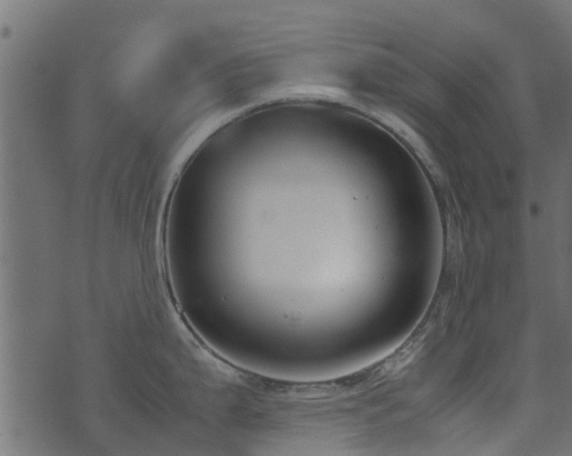 X0000071781199200606301212