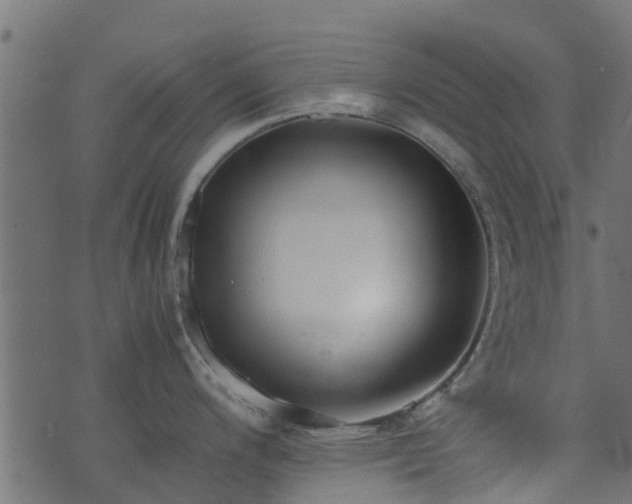 X0000071781200200606301212