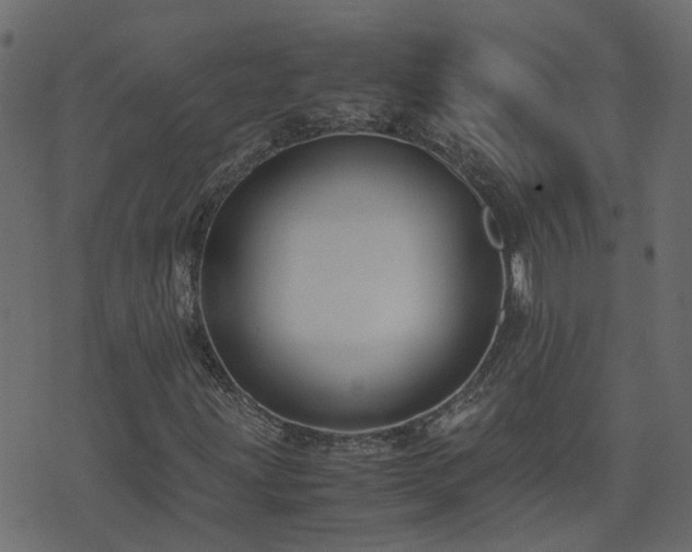 X0000071781203200606301211