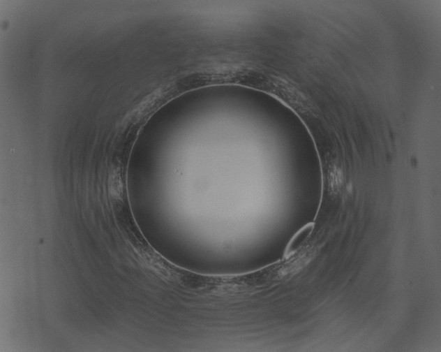 X0000071781204200606301211